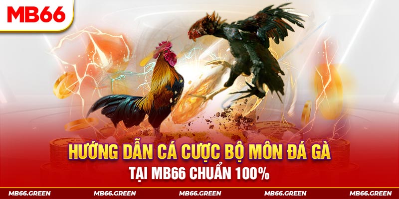 vwin88 slot là gi