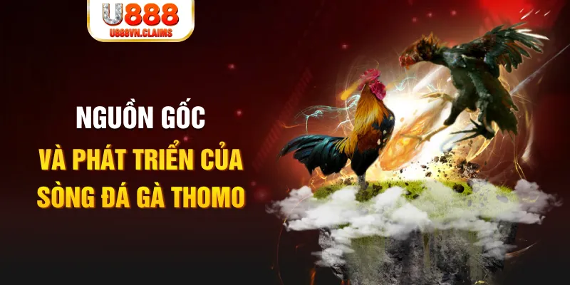 vwin88 baccarat online la gì