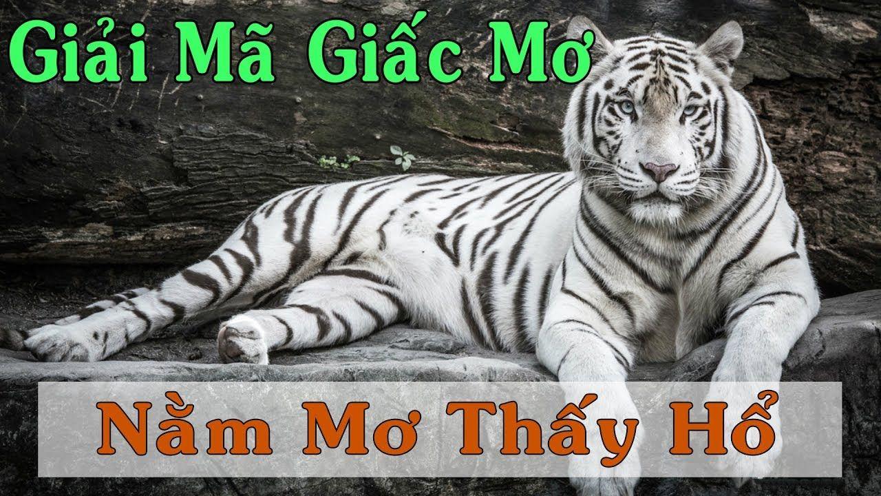 vwin88 nổ hũ là game gì