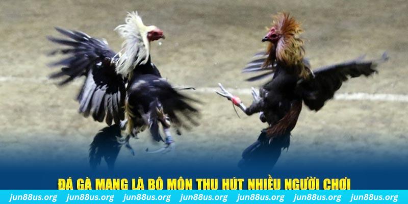vwin88 nổ hủ nghĩa là gì