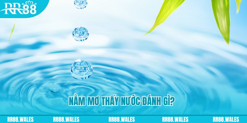 vwin88 TCG Xổ Số
