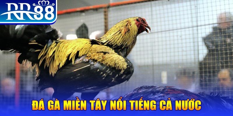 vwin88 xổ số đại phát