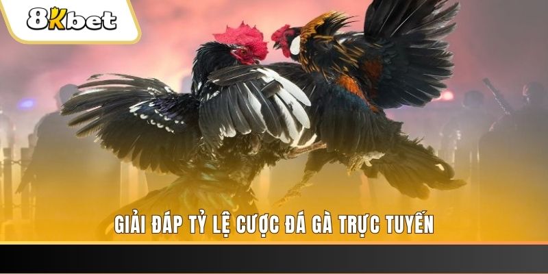 vwin88 ga choi cau thanh