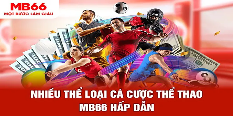 vwin88 đá gà thomo