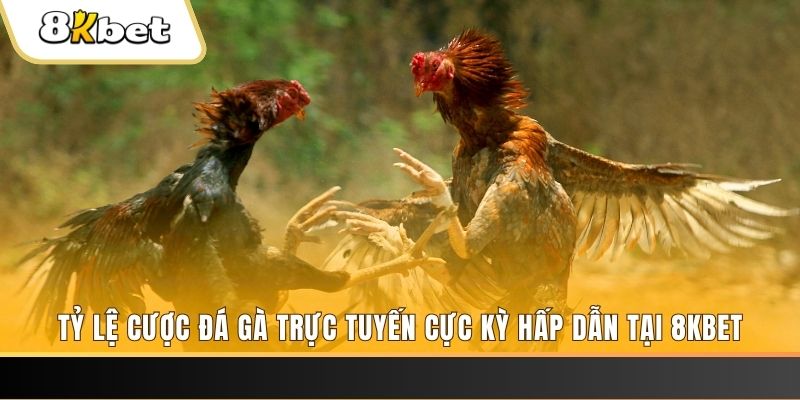vwin88 đăng nhập mậu binh online