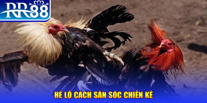 vwin88 xổ số miền trung thứ tư