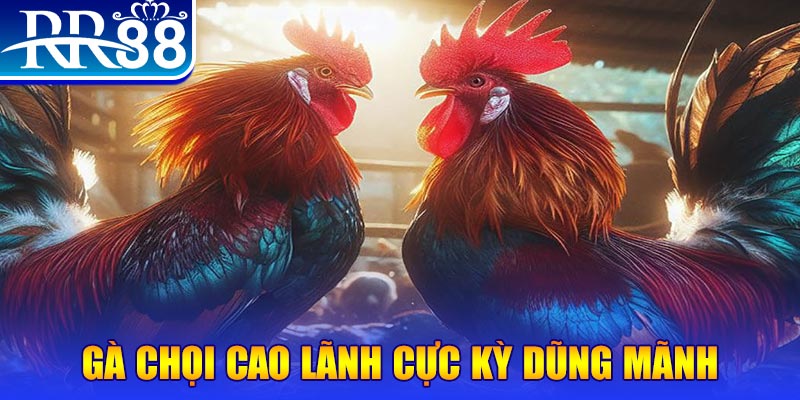 vwin88 HB Điện Tử
